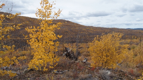 P9140537 (640x360)