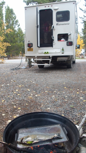 P9140548 (360x640)
