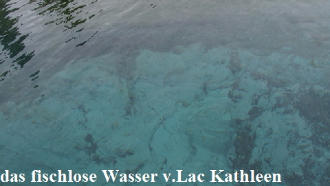 P9150567 (640x360)