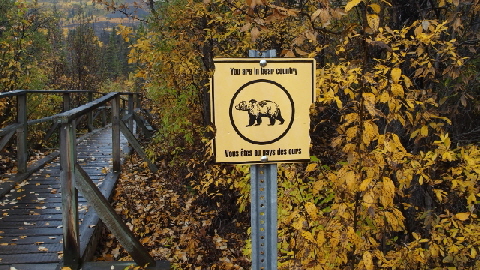 P9160575 (640x360)