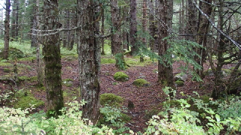 P9160609 (640x360)