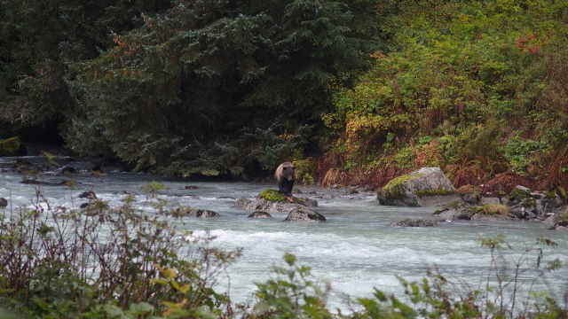 P9160616 (640x360)