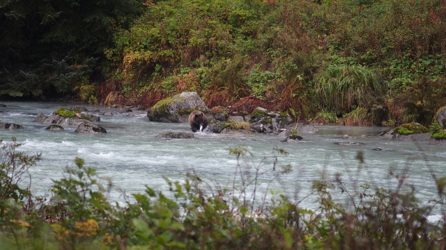 P9160619 (640x360)
