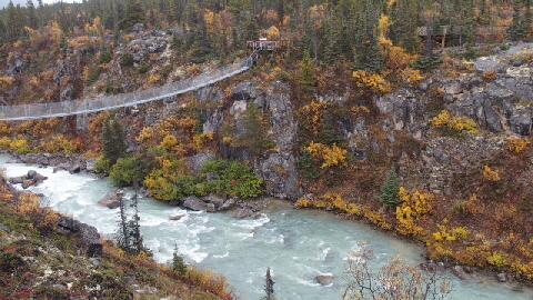 P9170667 (640x360)