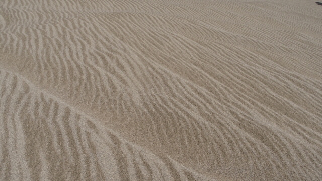 P9180703 (640x360)