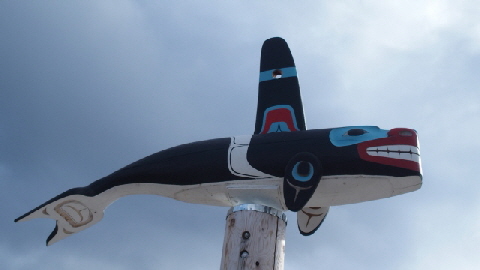 P9180743 (640x360)