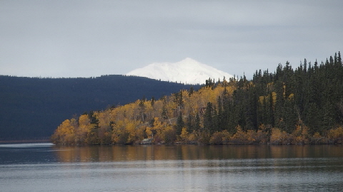 P9190757 (640x360)