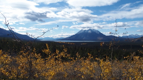 P9190770 (640x360)