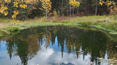 P9190781 (640x360)