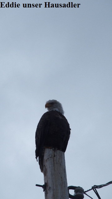 P9200847 (360x640)