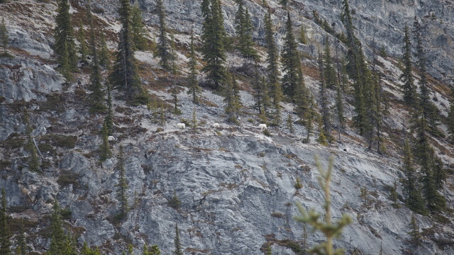 P9210874 (640x360)