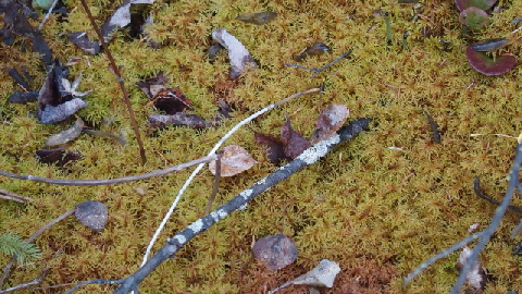 P9230939 (640x360)