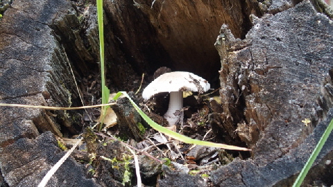 P9230941 (640x360)