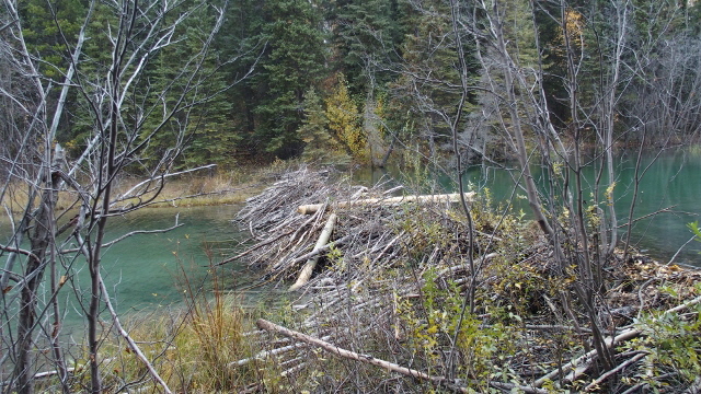 P9230955 (640x360)