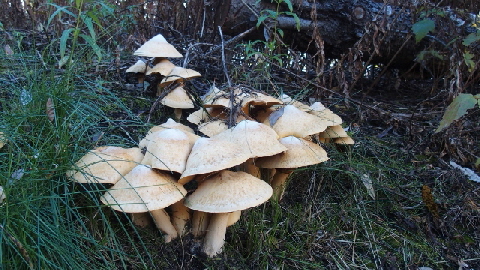 P9240991 (640x360)