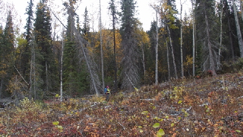 P9261036 (640x360)