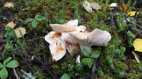 P9261039 (640x360)
