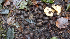 P9261042 (640x360)