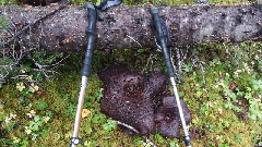 P9261043 (640x360)