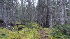 P9271055 (640x360)