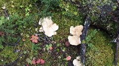 P9271059 (640x360)