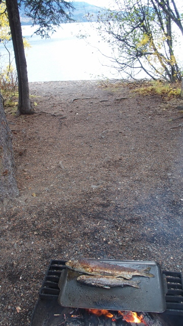 P9271074 (360x640)