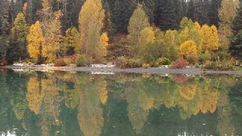 P9291109 (640x360)
