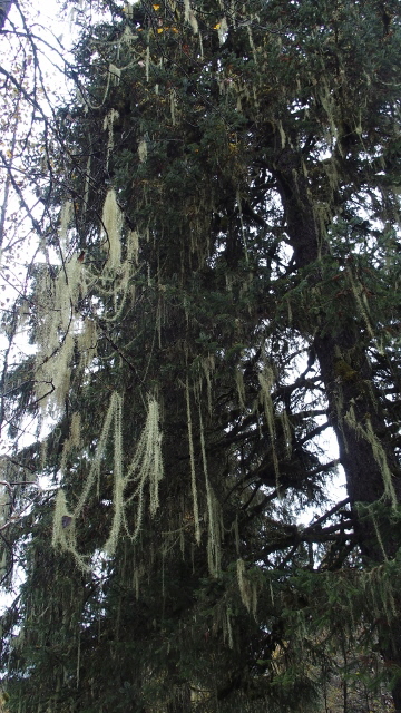 PA011184 (360x640)
