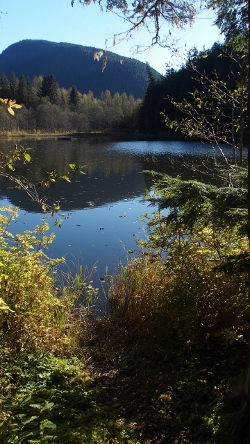 PA021253 (360x640)