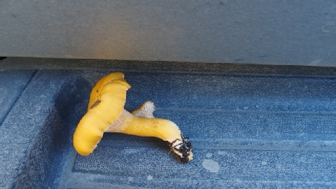 PA021256 (640x360)
