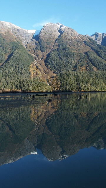 PA021260 (360x640)