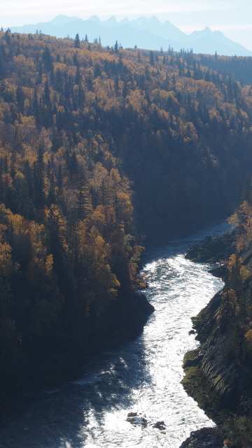 PA031294 (360x640)