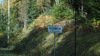 PA041331 (640x360)