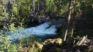 PA061388 (640x360)
