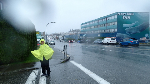 PA080303 (640x360)