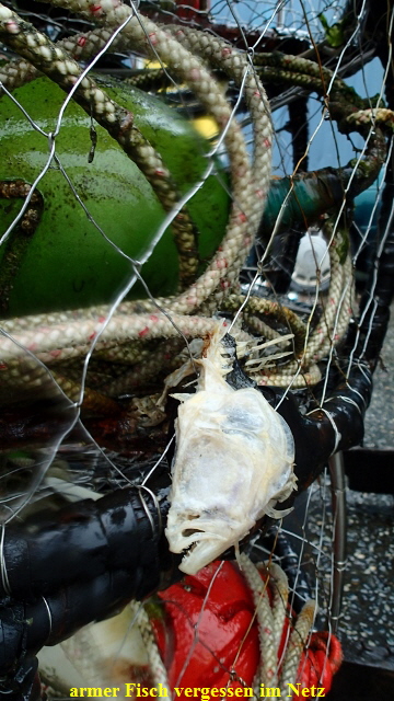 PA080314 (360x640)