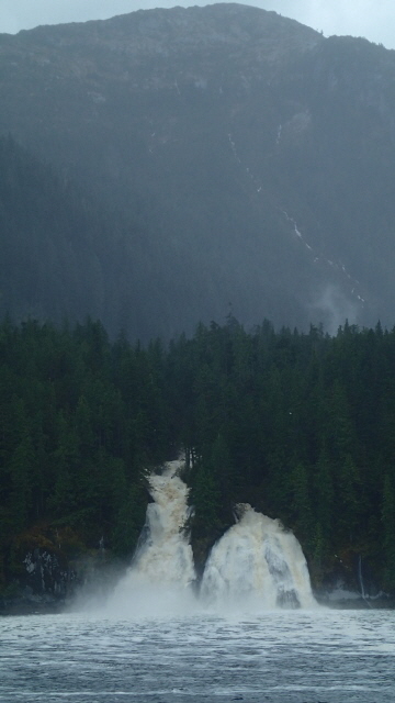 PA090334 (360x640)