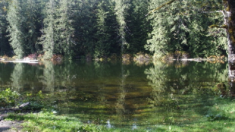 PA121470 (640x360)