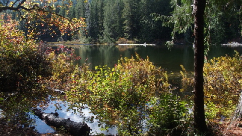 PA121473 (640x360)