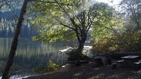 PA121475 (640x360)