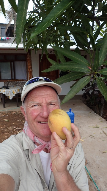 Fast vom Mango erschlagen worden, jetzt ist er ein Frühstücksopfer geworden!