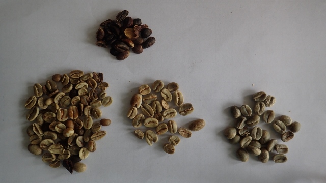 links Natural schwarz,oben ausgelesene Bohnen,unten Mitte Natural ohne Güsel, rechts sauberer Arabica
