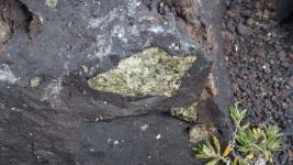 Olivingestein wie vorgestern im Wasser