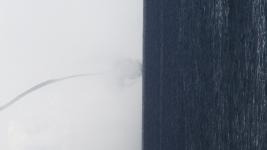 ein Tornado über dem Meer (Fontäne deutlich)
